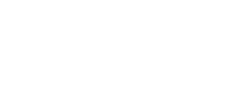 Chris Scott Portraiture logo