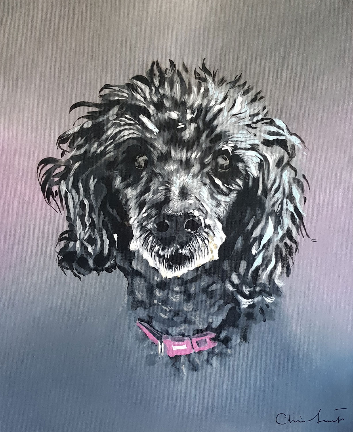 Pet portraits - Lily