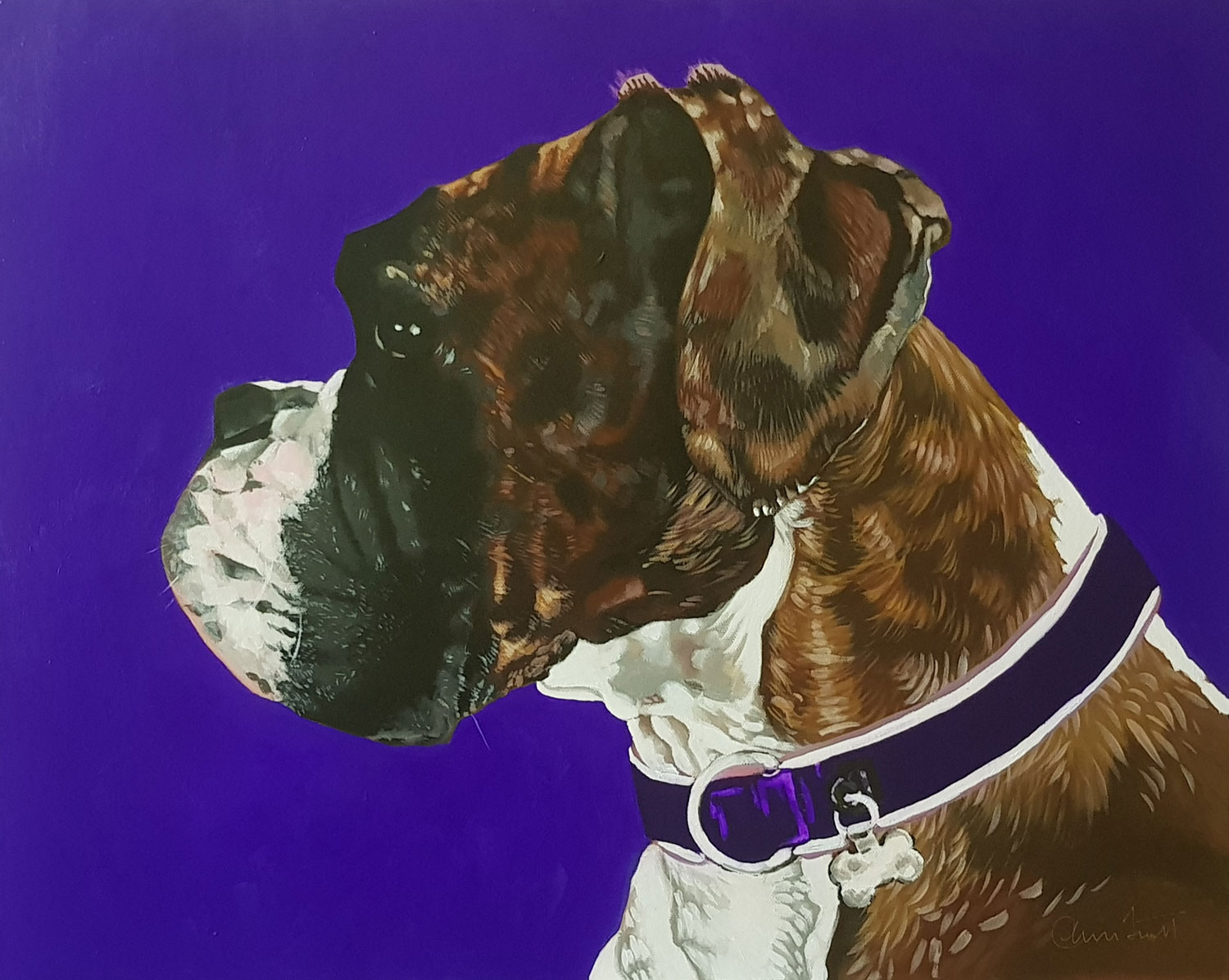 Pet portraits - Daphne