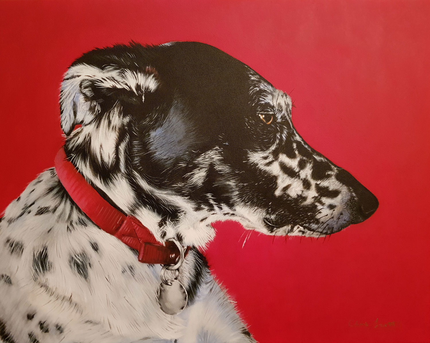 Pet portraits - Izzie
