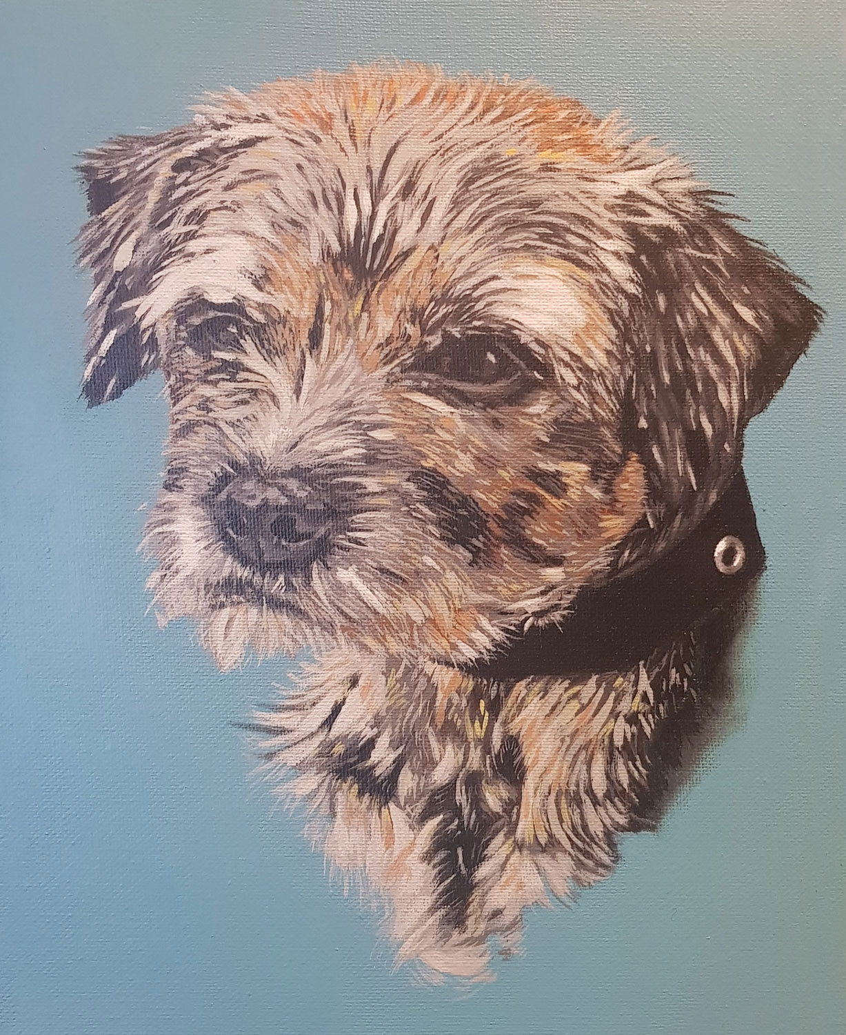 Pet portraits - Bramble