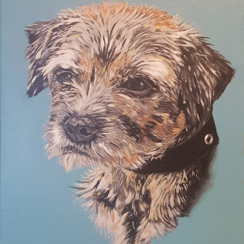 Galleries - Pet Portraits - Bramble